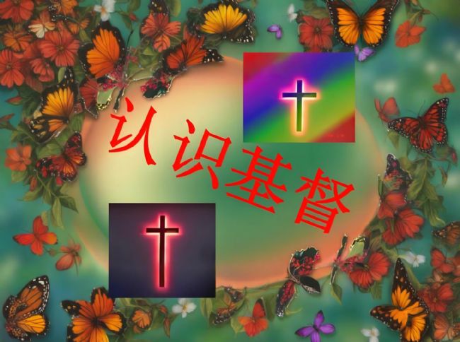 ��ʶ�����������������Լ����ǻ�---